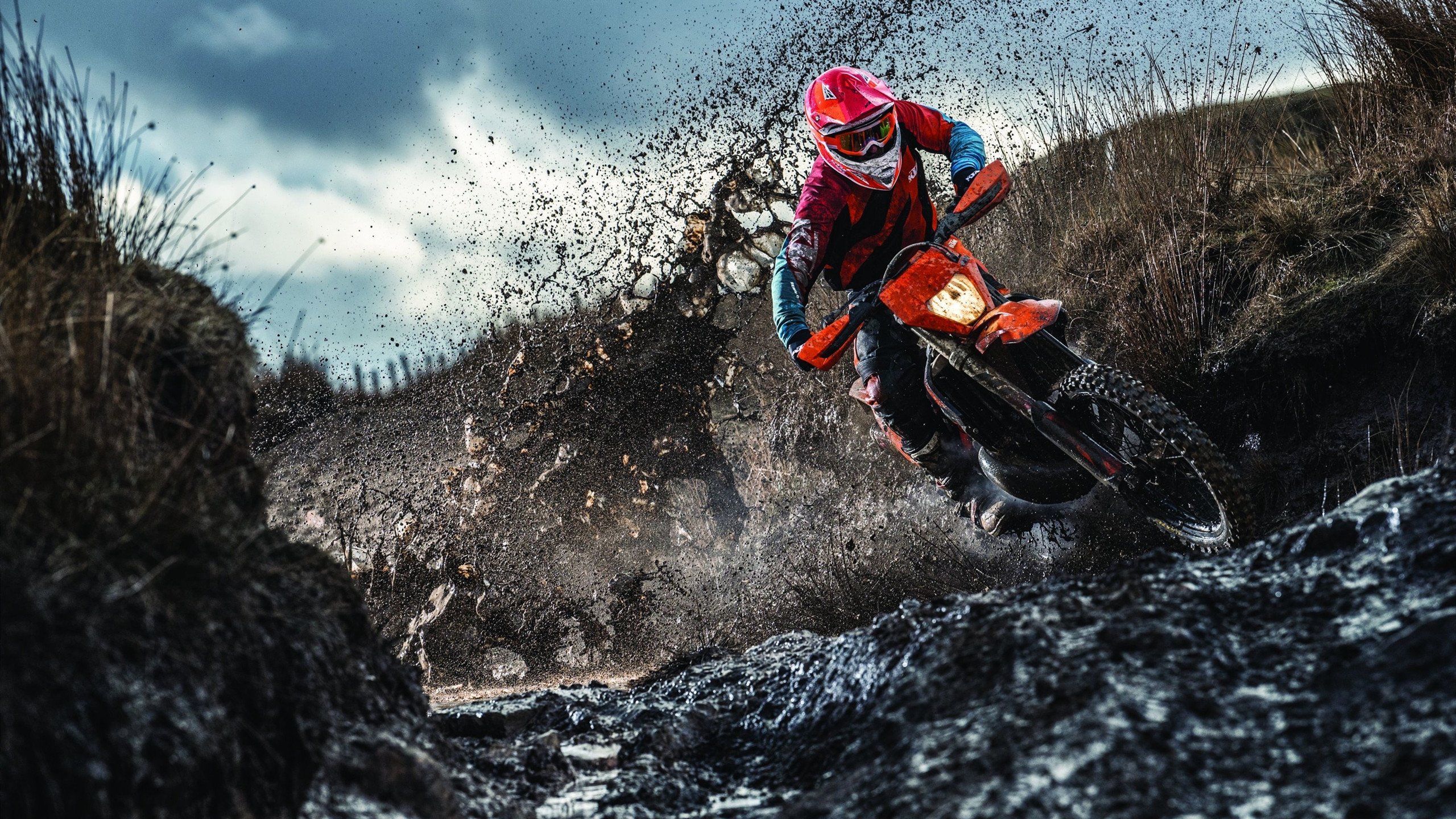 特别报道奥运申办城市迎审团考察，简述奥运会主办城市的遴选程序